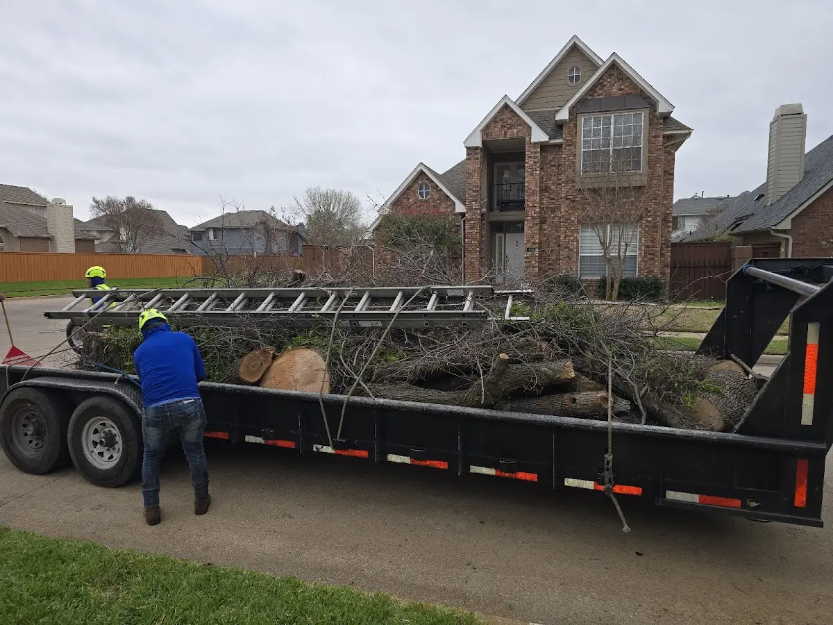Expert Tree Removal with proper safety equipment in Eaton Park